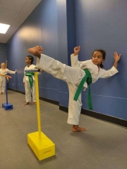 HIVE-Martial-arts-kids-1