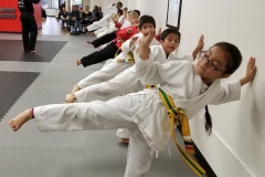 HIVE-Martial-arts-kids-11